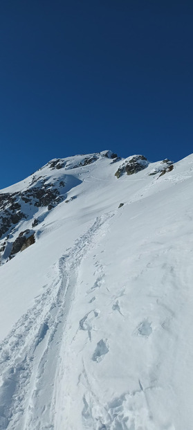 Bonne pioche au Pas de la Coche et à la pointe du Sciallet