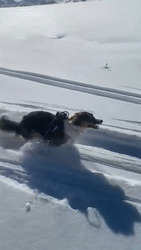 Balade à Praz Coutin 