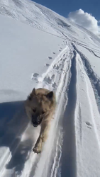 Balade à Praz Coutin 