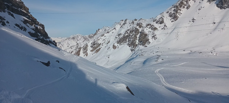 Pas mal (sans plus) sur pistes damées, très bon dans les bosses