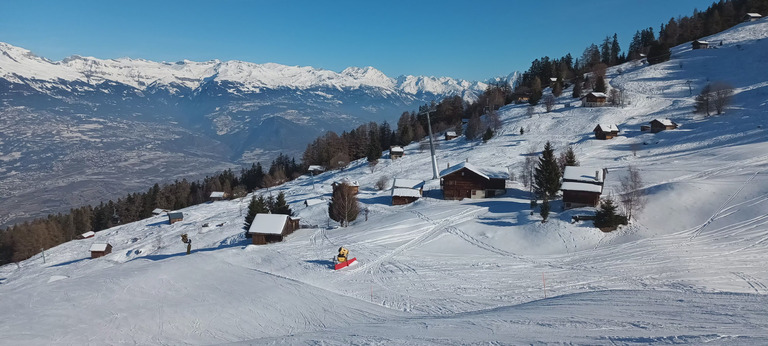 Pas mal (sans plus) sur pistes damées, très bon dans les bosses