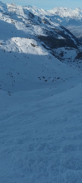 Pas mal (sans plus) sur pistes damées, très bon dans les bosses