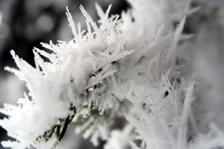 C'est lundi, tant mieux, tant pis