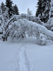 Ski de randonnée depuis ND De la gorge