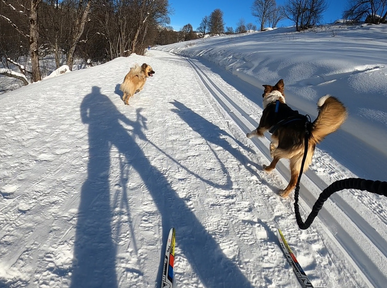 Du ski mais pas que....