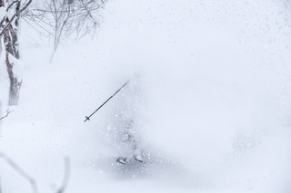 Aomori Spring : poissonnerie !