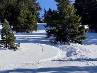 Chamechaude carton, carrelage, caillasses et poudre...