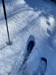 Chamechaude carton, carrelage, caillasses et poudre...