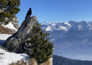 Chamechaude carton, carrelage, caillasses et poudre...