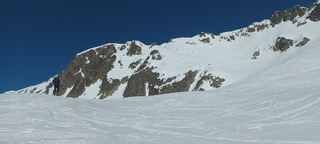 Bonnes conditions de printemps 