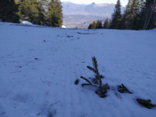réveil en montagne 