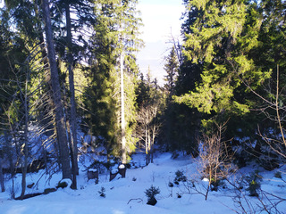 réveil en montagne 