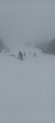 Vous reprendrez bien un peu de brouillard ? 