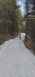 Ski de fond très correct au Rosier