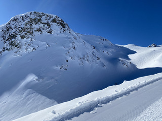 Petite pow pour lève-tôt 