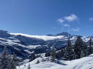 Petite pow pour lève-tôt 