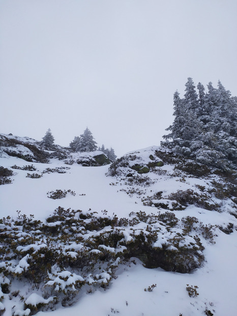 humidité, brouillard, et un peu de pow