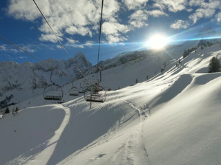 Petite Pow sous les aiguilles