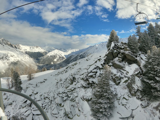 Petite Pow sous les aiguilles
