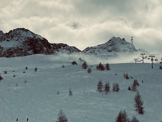 Petite Pow sous les aiguilles