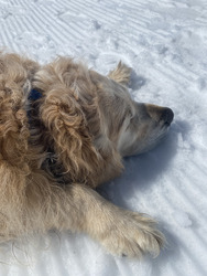 Ski de printemps et décontraction