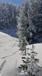 Chamrousse : Géant'ti'cime ?  !