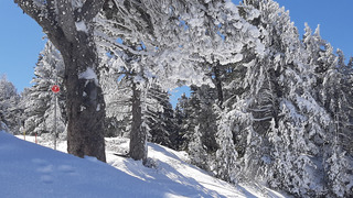 Chamrousse : Géant'ti'cime ?  !
