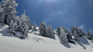 Chamrousse : Géant'ti'cime ?  !