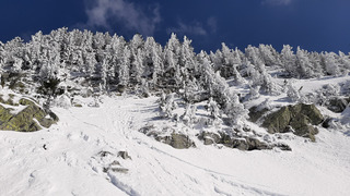 Grand croissant de Chamrousse : M&eacute;ga top conditions ???