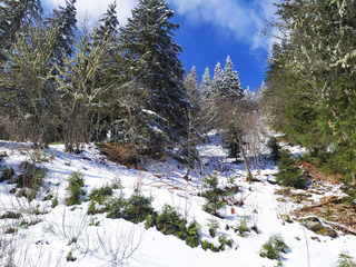 dent du Pra