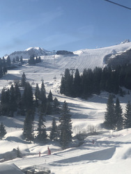 De bonnes conditions de printemps !!!