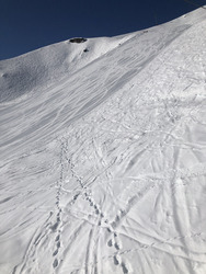 De bonnes conditions de printemps !!!