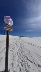 Chamrousse :  bain de soleil ☀️ et pistes bien damées