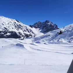 poudre ou Park? pourquoi choisir?