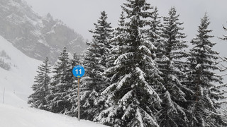 Balme comme on l'aime 