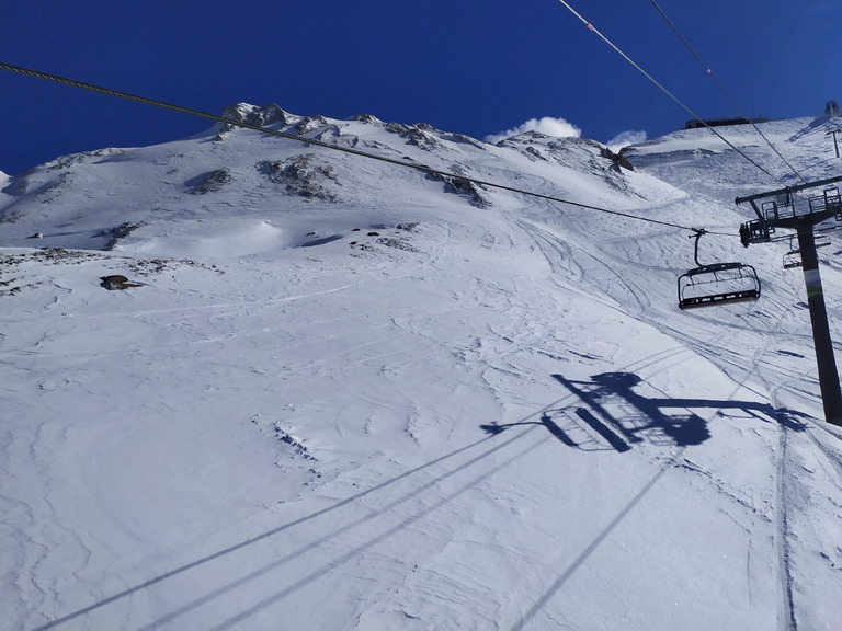 wtf day poudre de janvr** #dailyfreeski