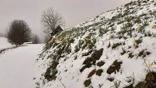 Couloir de la via ferrata - Croissant +++: top Chamrousse ??