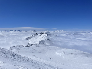 Le brouillard en juge de paix