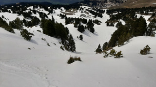La saison n'est pas finie ! Chamrousse "moquette run" ??