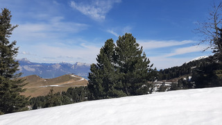 La saison n'est pas finie ! Chamrousse "moquette run" ??