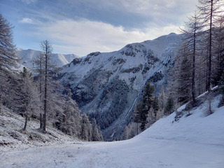 Bon skiski dans la snosnow pour les Doudoux 
