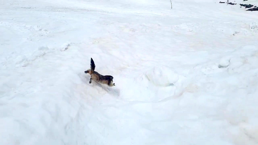 Gebroulaz nous revoil&agrave;