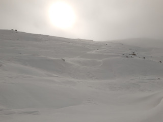 Coup de blanc