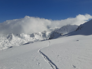 Coup de blanc