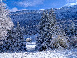 Vercors sous la neige