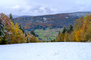 Neige Vs Automne