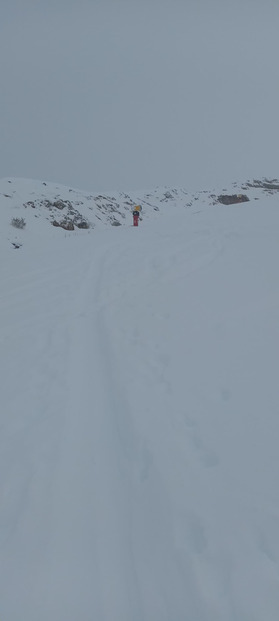 Belles quantités à l'Alpe d'Huez 