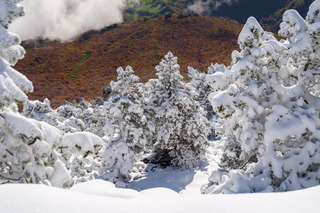 Vercors, automne VS hiver round II