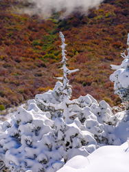 Vercors, automne VS hiver round II
