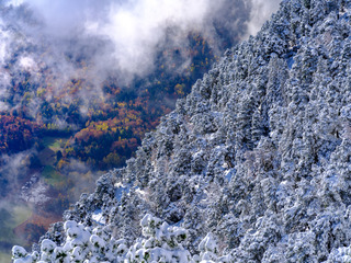 Vercors, automne VS hiver round II